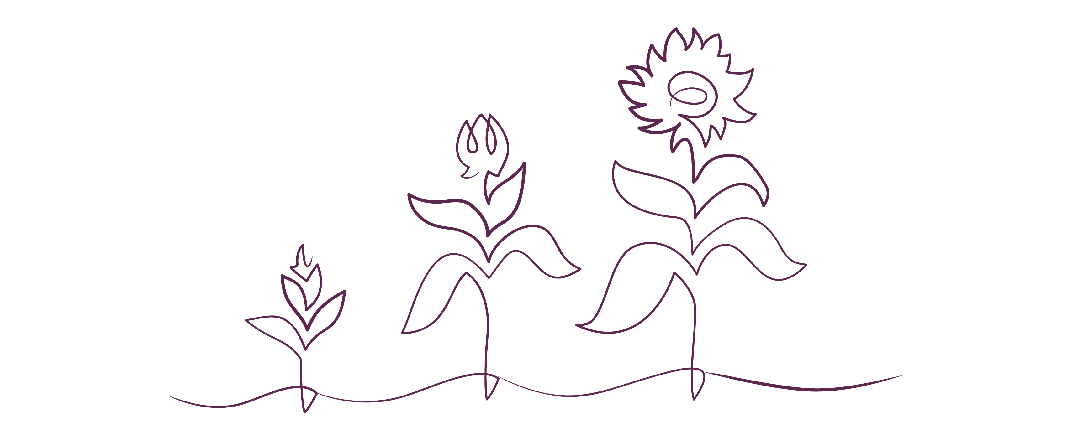 flowers illustration